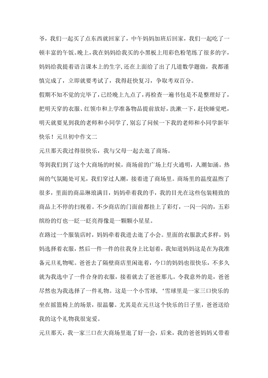 元旦初中作文600字10篇范文.docx_第2页