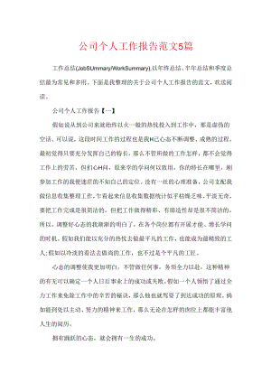 公司个人工作报告范文5篇.docx