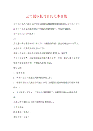 公司授权委托合同范本合集.docx