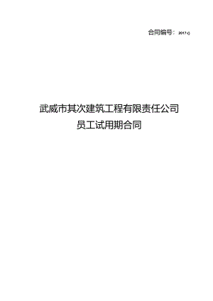 公司试用期合同范本.docx