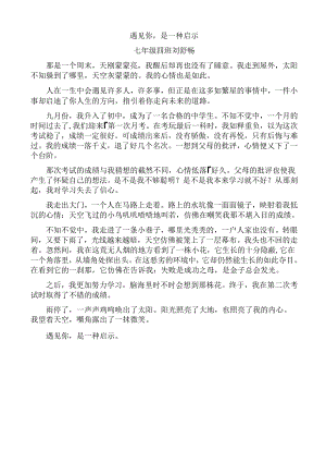 《遇见你是一种启示》优秀作文.docx