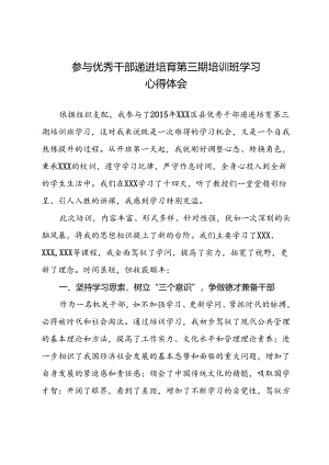 优秀年轻干部培训班学习心得体会.docx