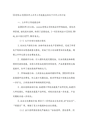 XX有限公司2024年上半年工作进展总结及下半年工作计划.docx