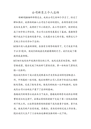 公司新员工个人总结.docx