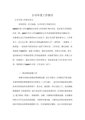 公司年度工作报告.docx