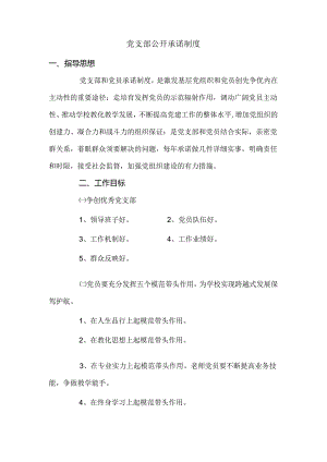 党支部公开承诺制度.docx