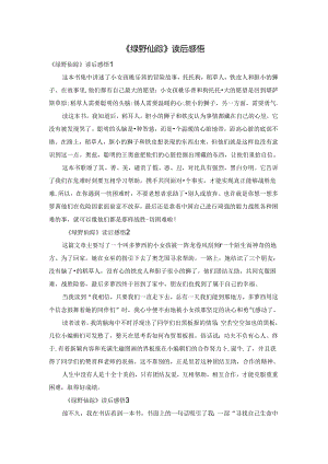 《绿野仙踪》读后感悟.docx