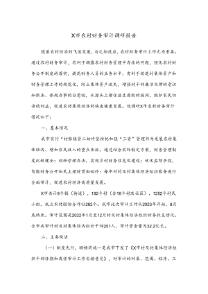 X市农村财务审计调研报告.docx
