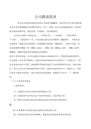 公司招聘简章.docx