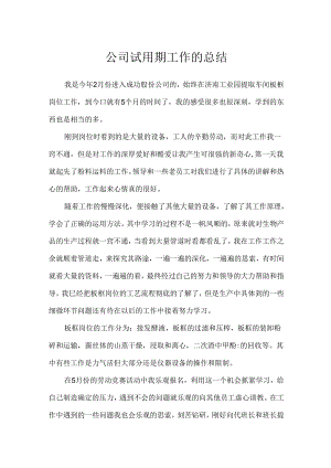 公司试用期工作的总结.docx