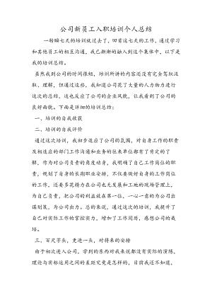 公司新员工入职培训个人总结.docx