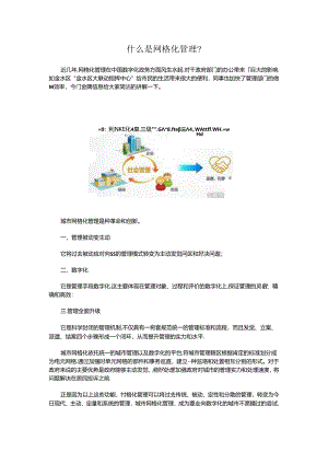 什么是网格化管理？.docx