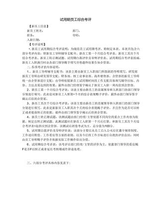公司新员工试用期考评.docx