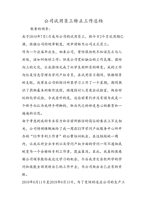 公司试用员工转正工作总结.docx