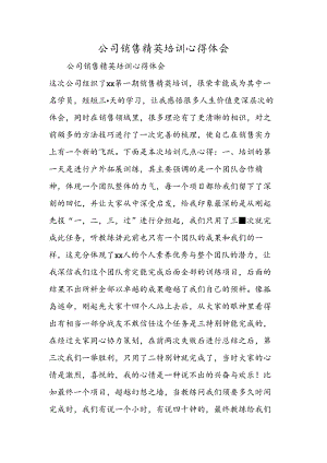 公司销售精英培训心得体会.docx