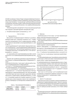 《European Journal of Business and Management Research》论文投稿模板.docx