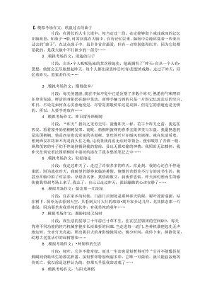 优秀作文片段.docx