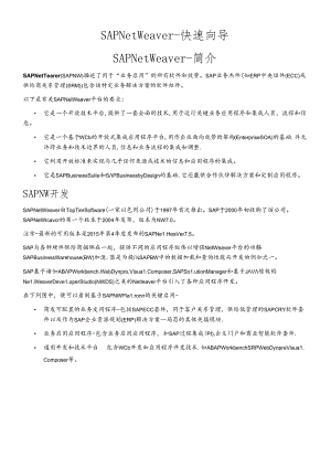 SAPNetWeaver-快速向导培训资料.docx