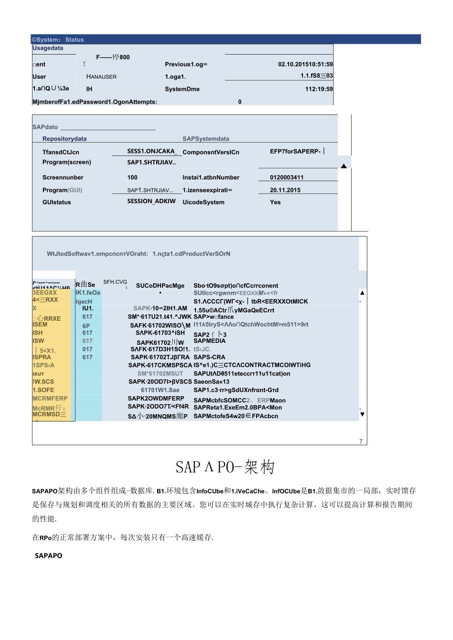SAPAPO-快速指南.docx_第3页