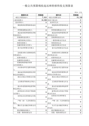 一般公共预算税收返还和转移性收支预算表.docx