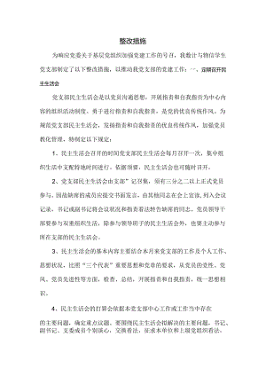 党支部整改措施.docx