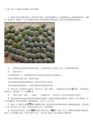 三下科学第二单元《动物的生命周期》知识点整理.docx