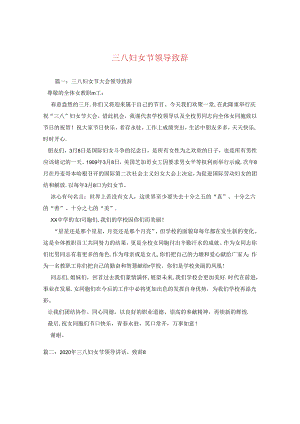三八妇女节领导致辞.docx