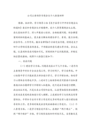 公司主要领导专题会议个人检查材料.docx