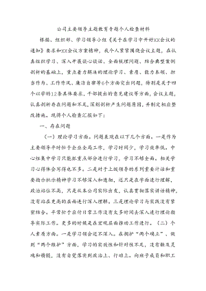 公司主要领导主题教育专题个人检查材料.docx