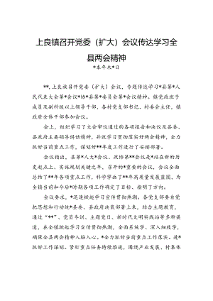 上良镇召开党委（扩大）会议+传达学习全县两会精神.docx