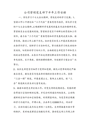 公司营销党支部下半年工作计划.docx