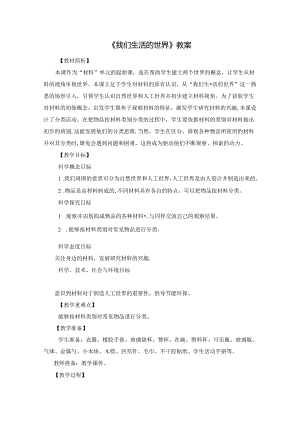 《我们生活的世界》教案.docx