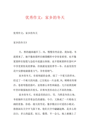 优秀作文：家乡的冬天.docx