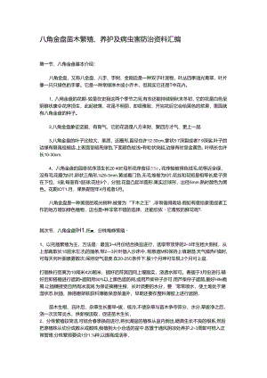 八角金盘苗木繁殖、养护及病虫害防治资料汇编.docx