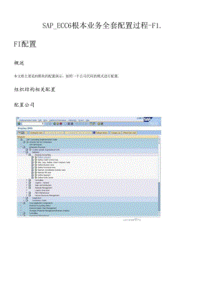 SAP_SP-ECC6基本业务全套配置过程_FI配置-V11-trigger.docx