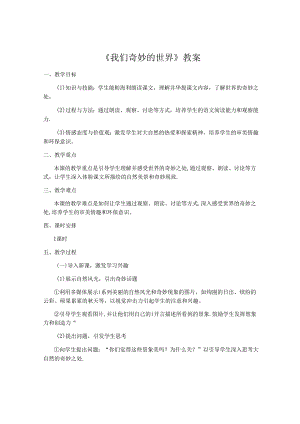《我们奇妙的世界》教案.docx