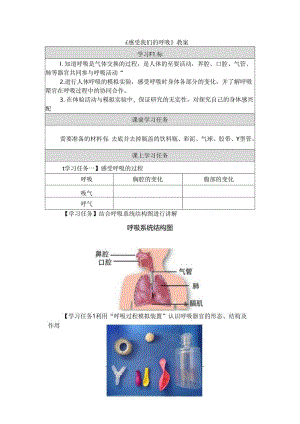 《感受我们的呼吸》教案.docx