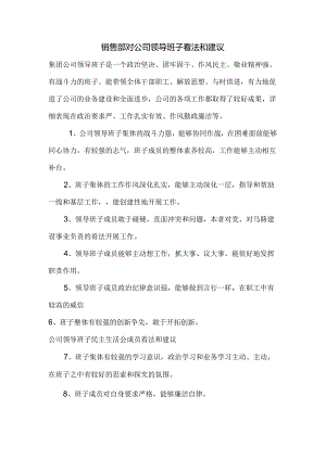 公司领导班子民主生活会意见建议.docx