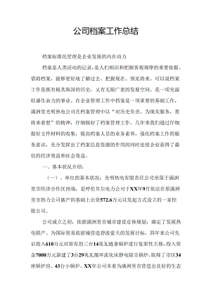公司档案工作总结.docx