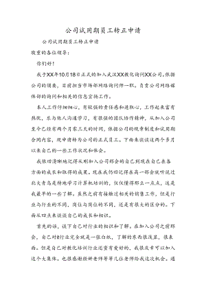 公司试用期员工转正申请.docx