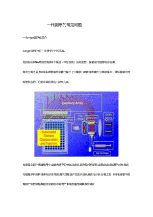 一代测序峰图说明.docx
