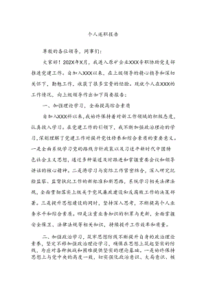 个人述职报告.docx
