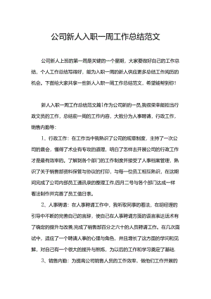 公司新人入职一周工作总结范文.docx