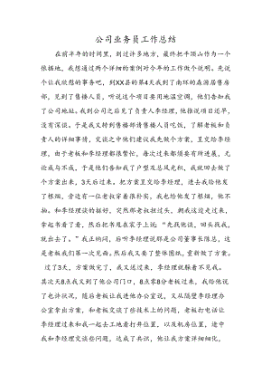 公司业务员工作总结.docx