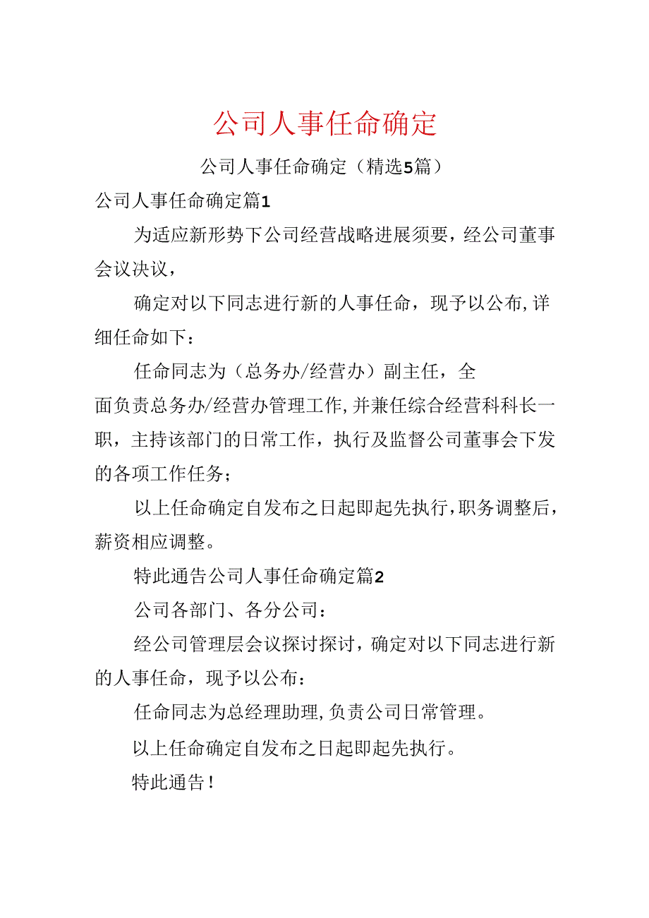 公司人事任命决定.docx_第1页