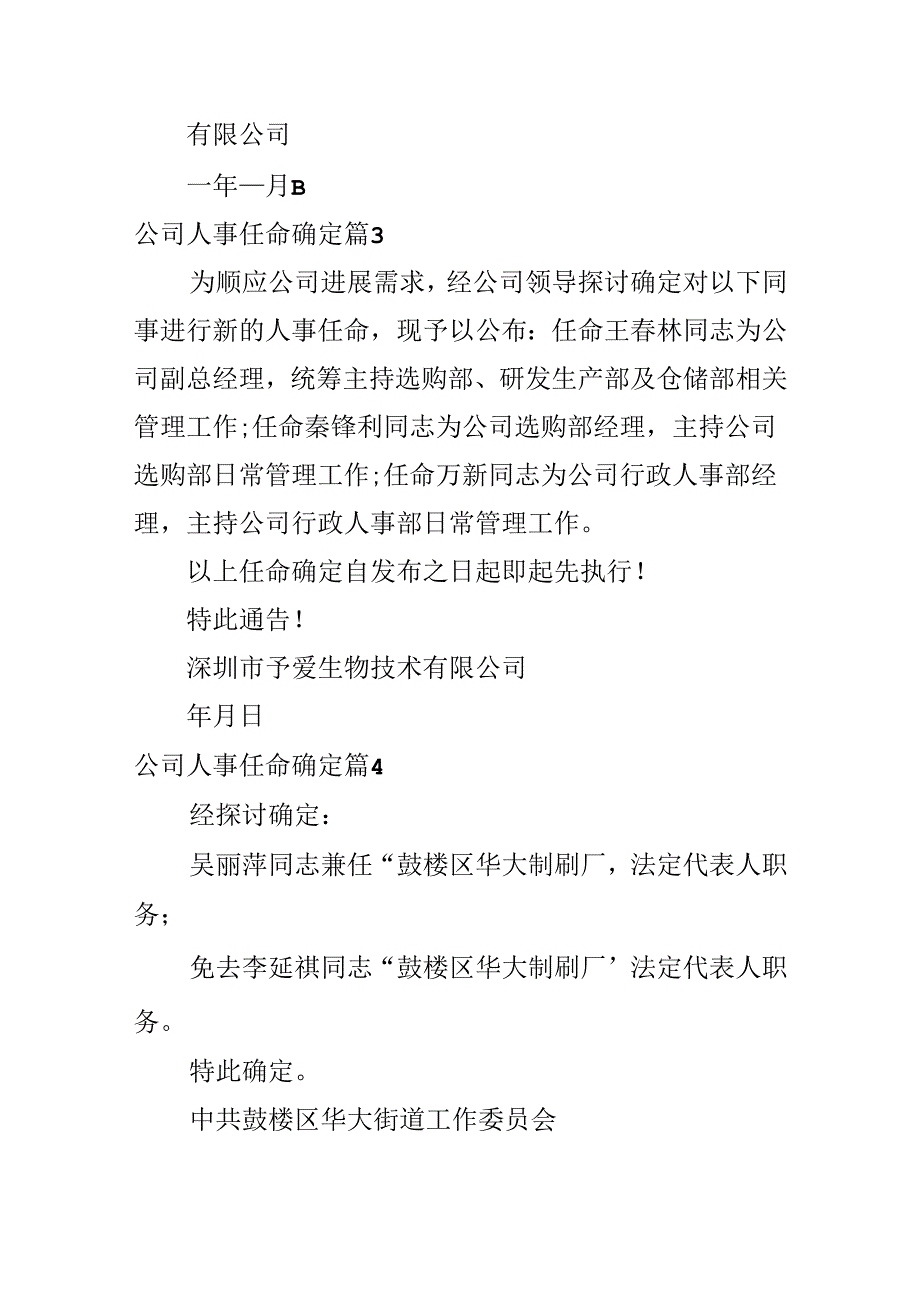 公司人事任命决定.docx_第2页