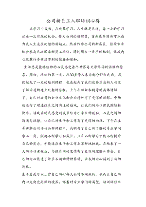 公司新员工入职培训心得.docx