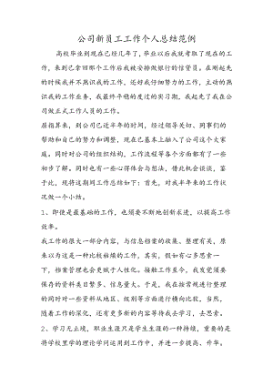 公司新员工工作个人总结范例.docx