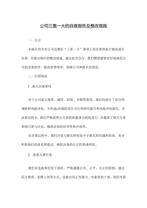 公司三重一大的自查报告及整改措施.docx