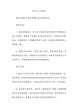 党员个人承诺书.docx